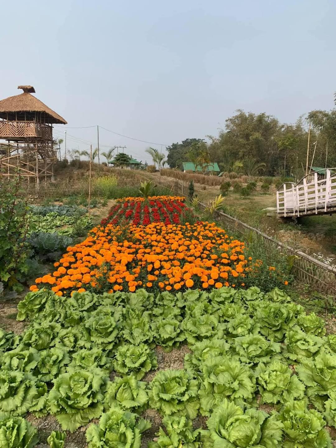 Bogibil Eco Resort New Dibrugarh Bagian luar foto