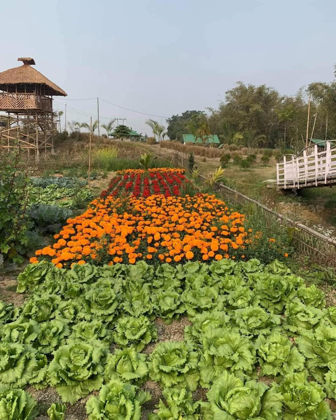 Bogibil Eco Resort New Dibrugarh Bagian luar foto