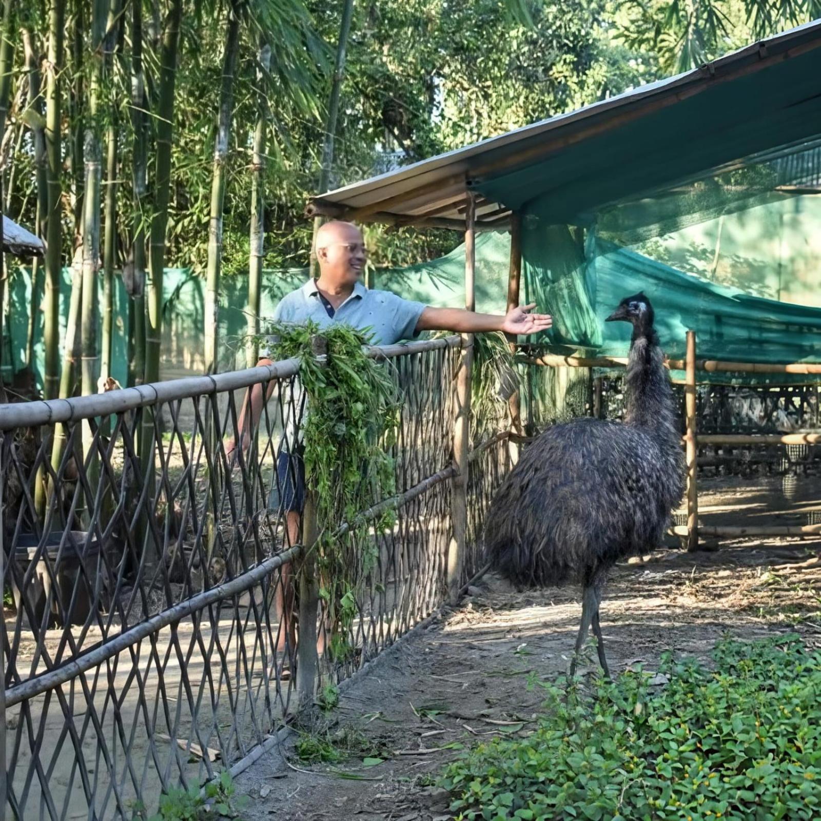 Bogibil Eco Resort New Dibrugarh Bagian luar foto